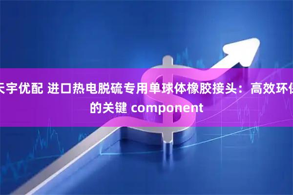 天宇优配 进口热电脱硫专用单球体橡胶接头：高效环保的关键 component