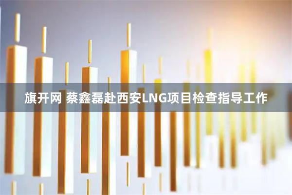 旗开网 蔡鑫磊赴西安LNG项目检查指导工作