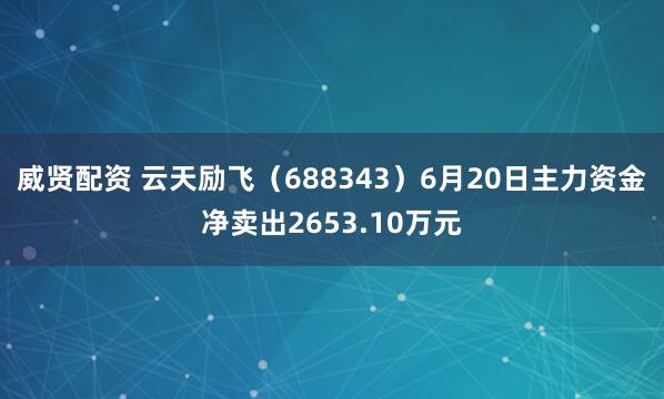 威贤配资 云天励飞（688343）6月20日主力资金净卖出2653.10万元